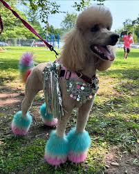 West Side Pride Puppy